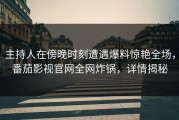 主持人在傍晚时刻遭遇爆料惊艳全场，番茄影视官网全网炸锅，详情揭秘