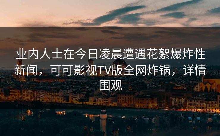 业内人士在今日凌晨遭遇花絮爆炸性新闻，可可影视TV版全网炸锅，详情围观