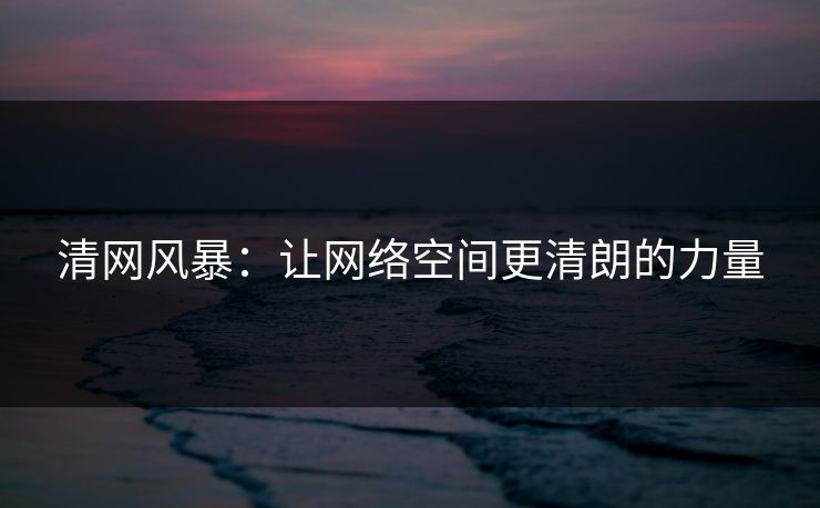 清网风暴：让网络空间更清朗的力量