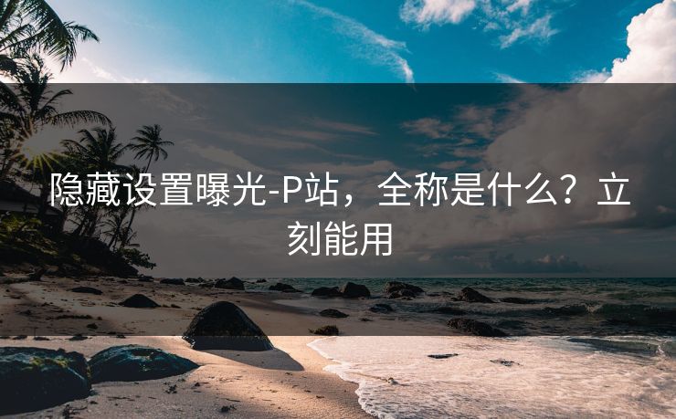 隐藏设置曝光-P站，全称是什么？立刻能用
